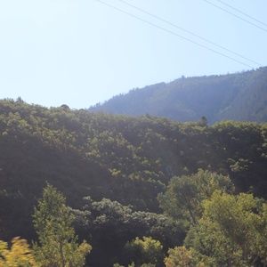 Meet your Posher, Lindsay